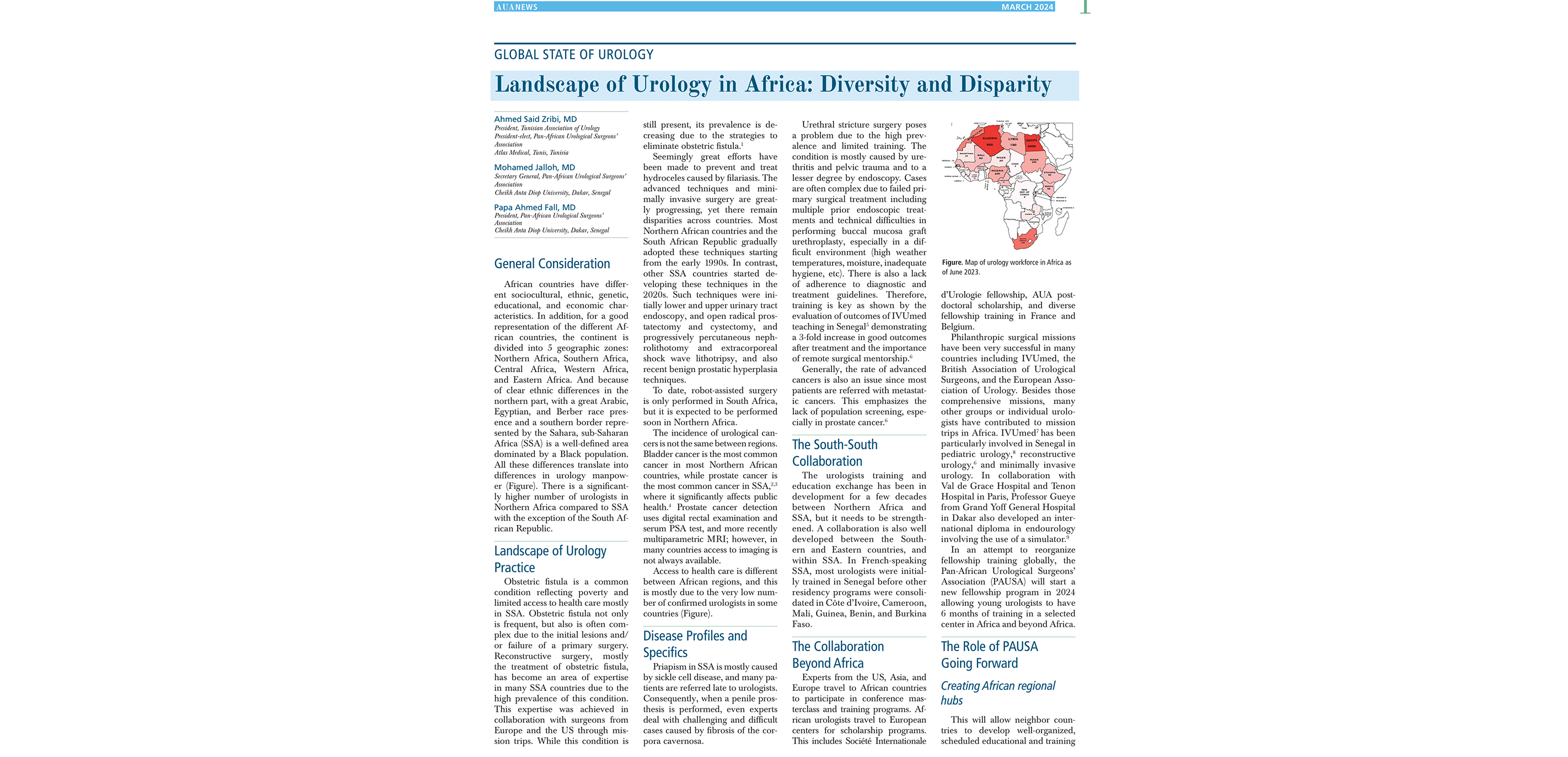 Landscape of Urology in Africa: Diversity and Disparity